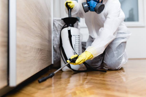 Reliable Westover, AL Pest Control Solutions