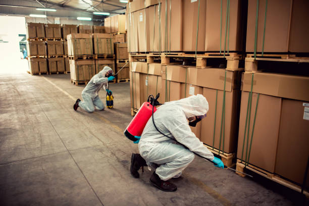 Wasp Removal Services in Westover, AL