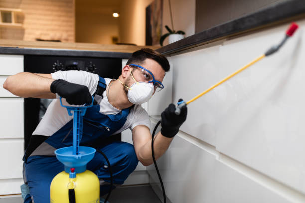 Best Termite Control Services  in Westover, AL