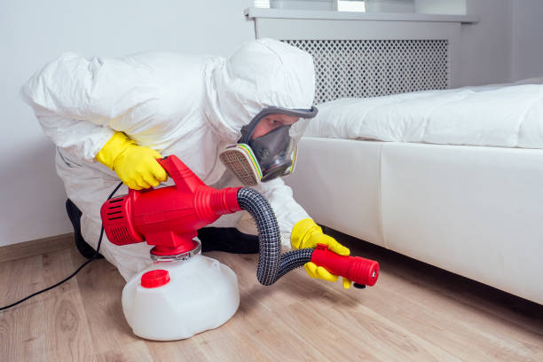 Best Affordable Pest Control Services  in Westover, AL