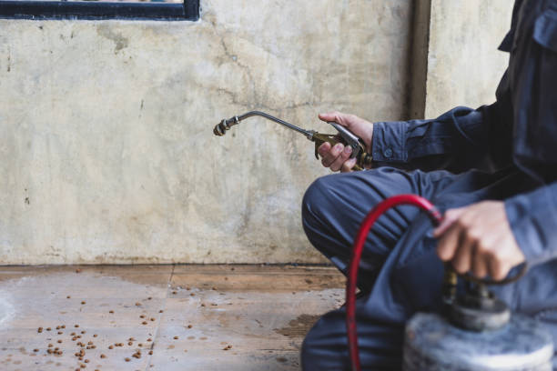 Best Ant Control Services  in Westover, AL